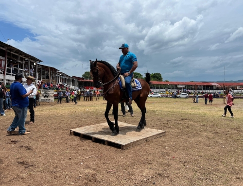 Chontales celebra Festival Vaquero 2024.